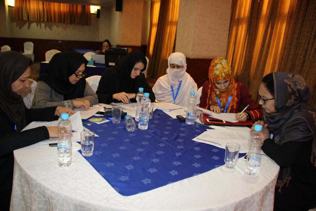 Afghan Women Shelter Fund Capacity Development of Implementing Partners