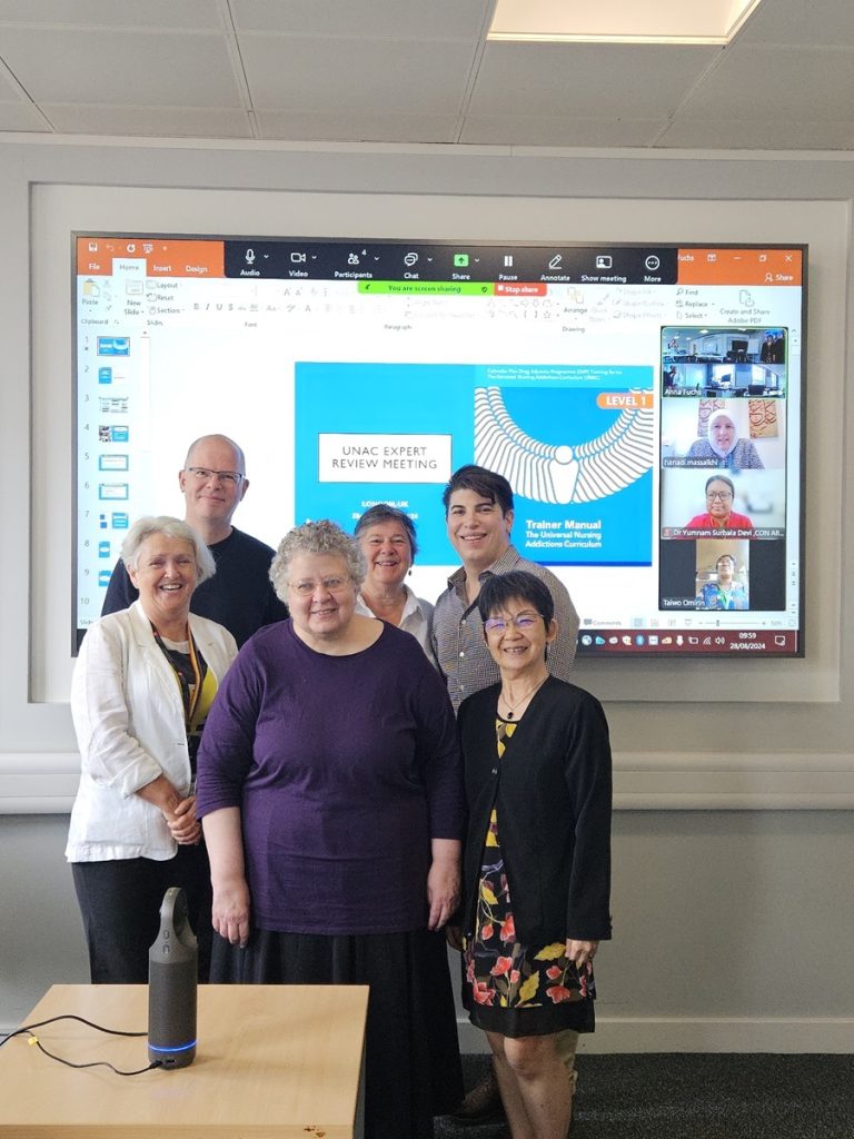 Universal Nursing Addictions Curriculum – Expert Review Group Meeting